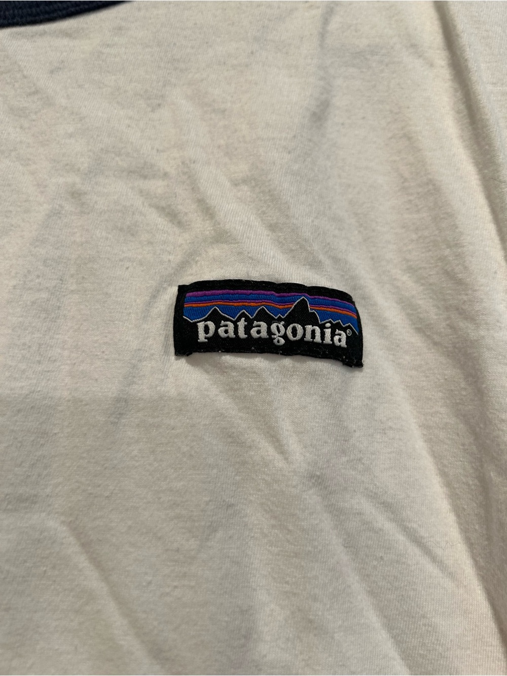 Patagonia White Tee with Black Logo Patch and Purple/Blue Accents